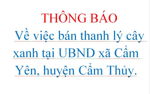 THÔNG BÁO Về việc bán thanh lý cây xanh tại UBND xã Cẩm Yên, huyện Cẩm Thủy.