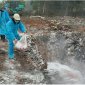 Bệnh Lở mồm, long móng trên gia súc và biện pháp phòng, chữa trị bệnh