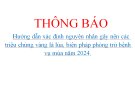 Hướng dẫn xác định nguyên nhân gây nên các triệu chứng vàng lá lúa, biện pháp phòng trừ bệnh vụ mùa năm 2024.