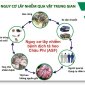  TUYÊN TRUYỀN PHÒNG CHỐNG DỊCH TẢ LỢN CHÂU PHI 