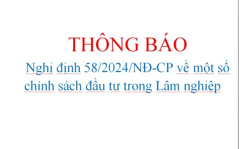 Nghị định 58/2024/NĐ-CP về một số chính sách đầu tư trong Lâm nghiệp